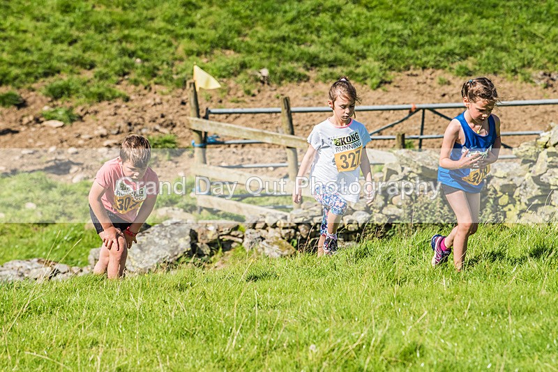 Loweswater Show-85 - Loweswater Show Junior & Senior Fell Races Sunday 3rd September 2023