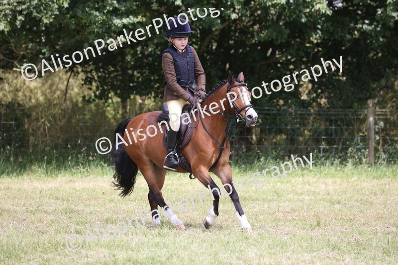 20260614-2184 - Class 21 - Novice Working Hunter Pony