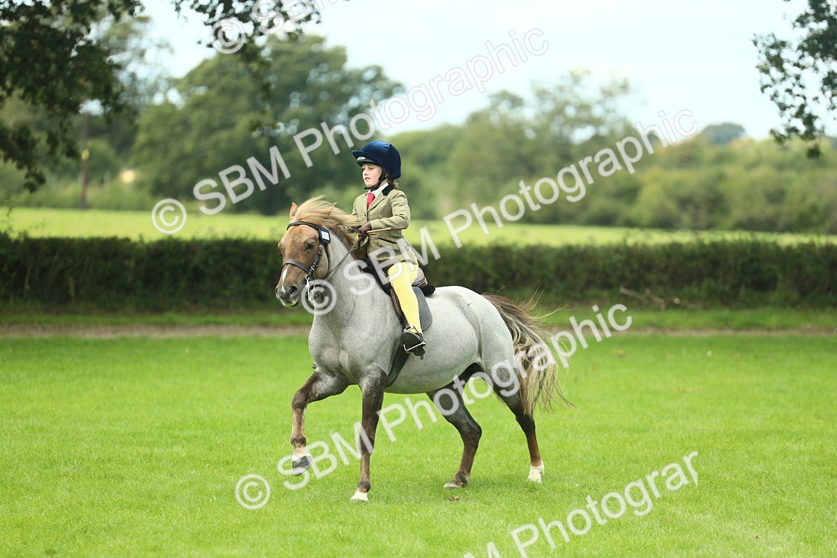 SBM_42780 - S30 - M&M Working hunter Pony