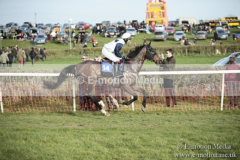 PtP 230319 510 - VWH Hunt Siddington Point-to-Point Racing 23/03/19