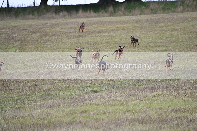 WJ6_0867 - Camera 2 Line 2