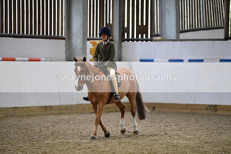 WJ5_6826 - Class 10 Childs Pony