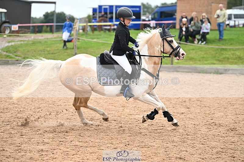 240907A-123119-01655 - Cls 3 Pony Medium Team 80cm & 90cm
