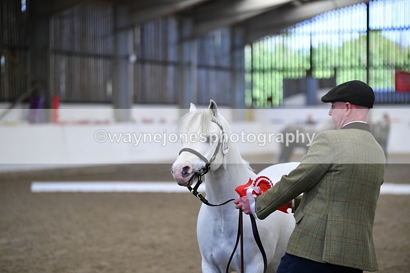 WJ5_5526 - Class 4 In hand M&M - small breeds