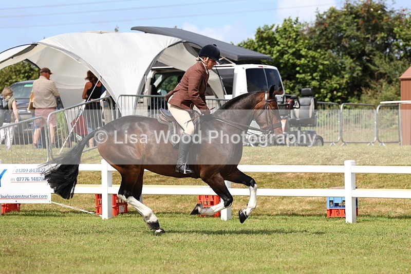 3E7A9977 - Class 5: Rising Star Lightweight/Heavyweight Cobs