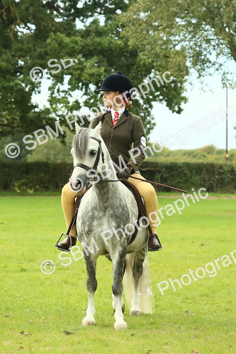 SBM_69989 - S59 - Mountain & Moorland Ridden Small Breeds
