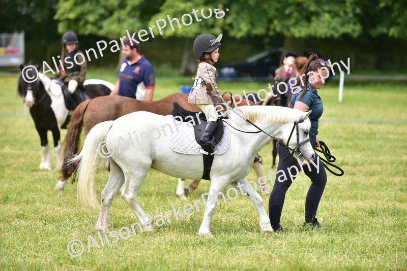 20260614-3676 - Class 15 - Prettiest Mare
