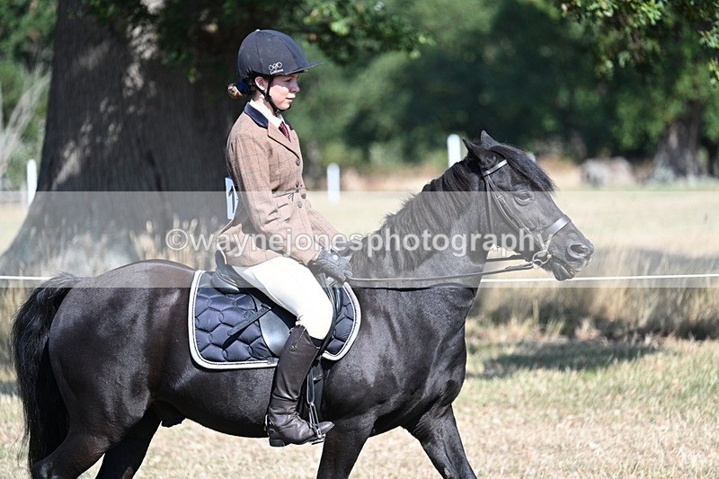 WJ7_3464 - Class 9 Mountain & Moorland Ridden