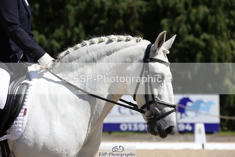 230811-141925-02003 - Cls 1 Prelim Bronze 13.30 to 14.50 break