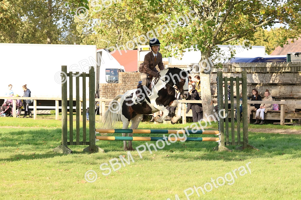 SBM_52601 - S13 - Pony Club Pony