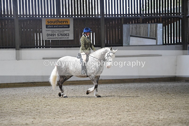 WJ5_8232 - Class 14 Novice Ridden/Rider