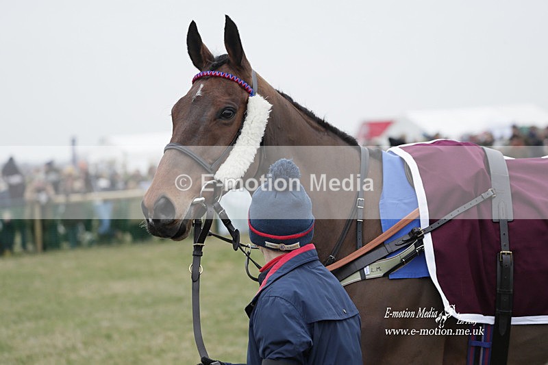 PtP 040323 631 - Duke of Beauforts Hunt Point-to-Point Didmarton 04/03/23