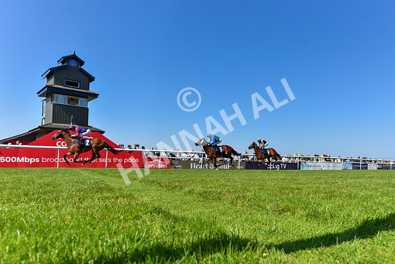 250624-Race 5-Drink Dry-9395 - Race 5