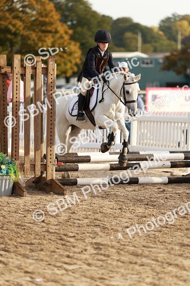 SBM_55492 - J11 - Junior Pony 50cm Championship