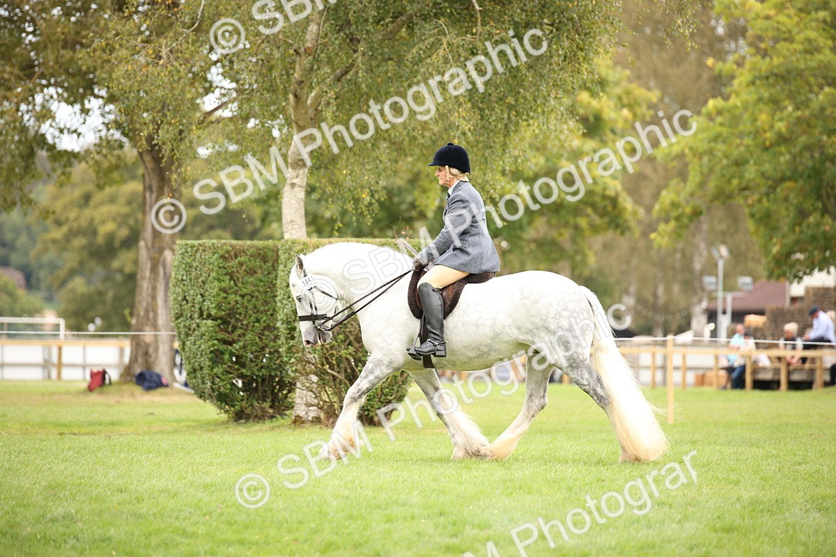 SBM_73474 - S68 - Traditional Cob Ridden
