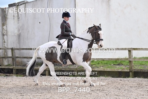 BPP_7440 - RING 1  (RIDDEN HORSES / IN HAND / VETERAN ETC)