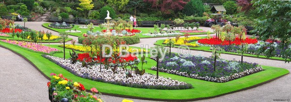 Dingle-Shrewsbury