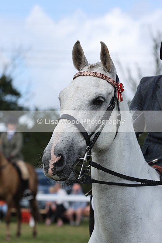 JPP_1464 - Class 17: Cornish Combination Open