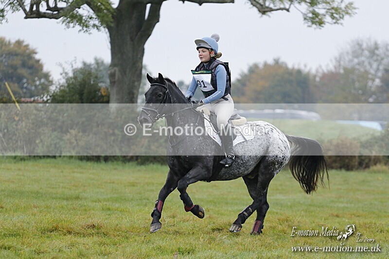 WWHT 181020 WWHT 181020 179 - WWEC Novice Restricted (0.80m) 18/10/20