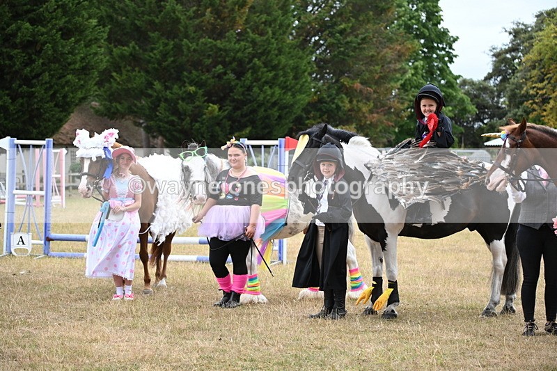 WJ6_9240 - Class 11 Fancy Dress