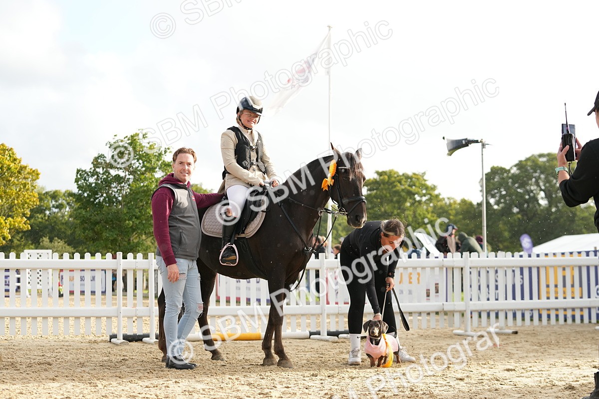 SBM_29249 - J43 - Horse & Hound Open 50cm