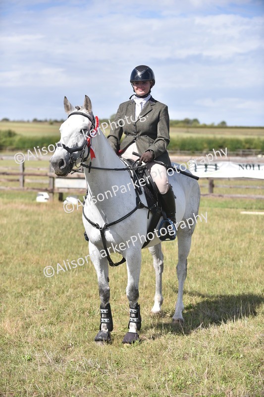 20260906-2712 - Class 13 - Working Hunter Horse or Pony