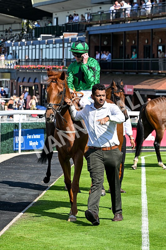 230626-Race 5-Percys Daydream-1544 - Race 5 16.17pm Humberside Airport Handicap