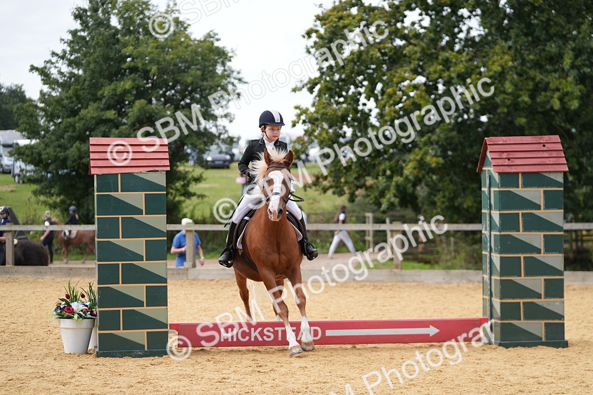 SBM_65667 - J2 - Mini Tour Junior Pony 30cm Championship