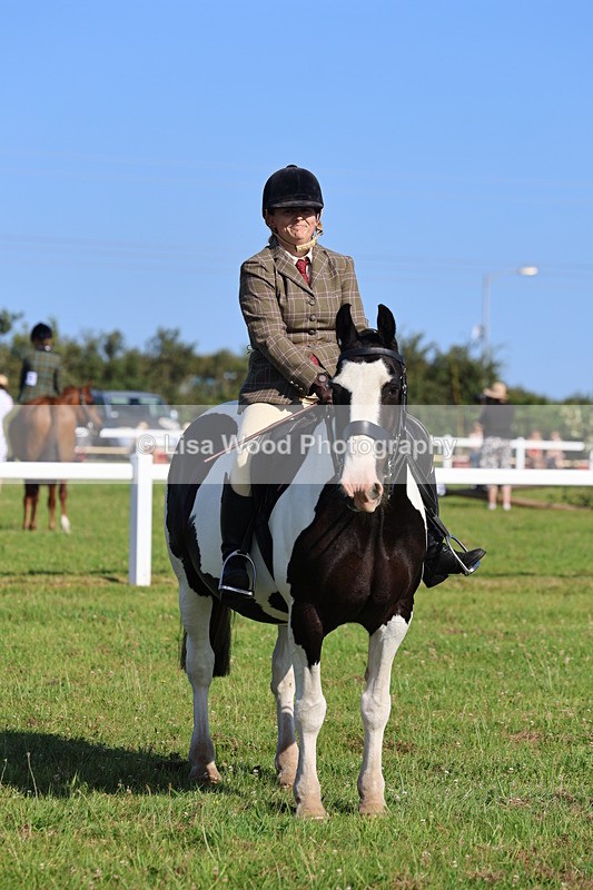 IMG_1558 - Class 30: Ridden Native/Trad Coloured Pony
