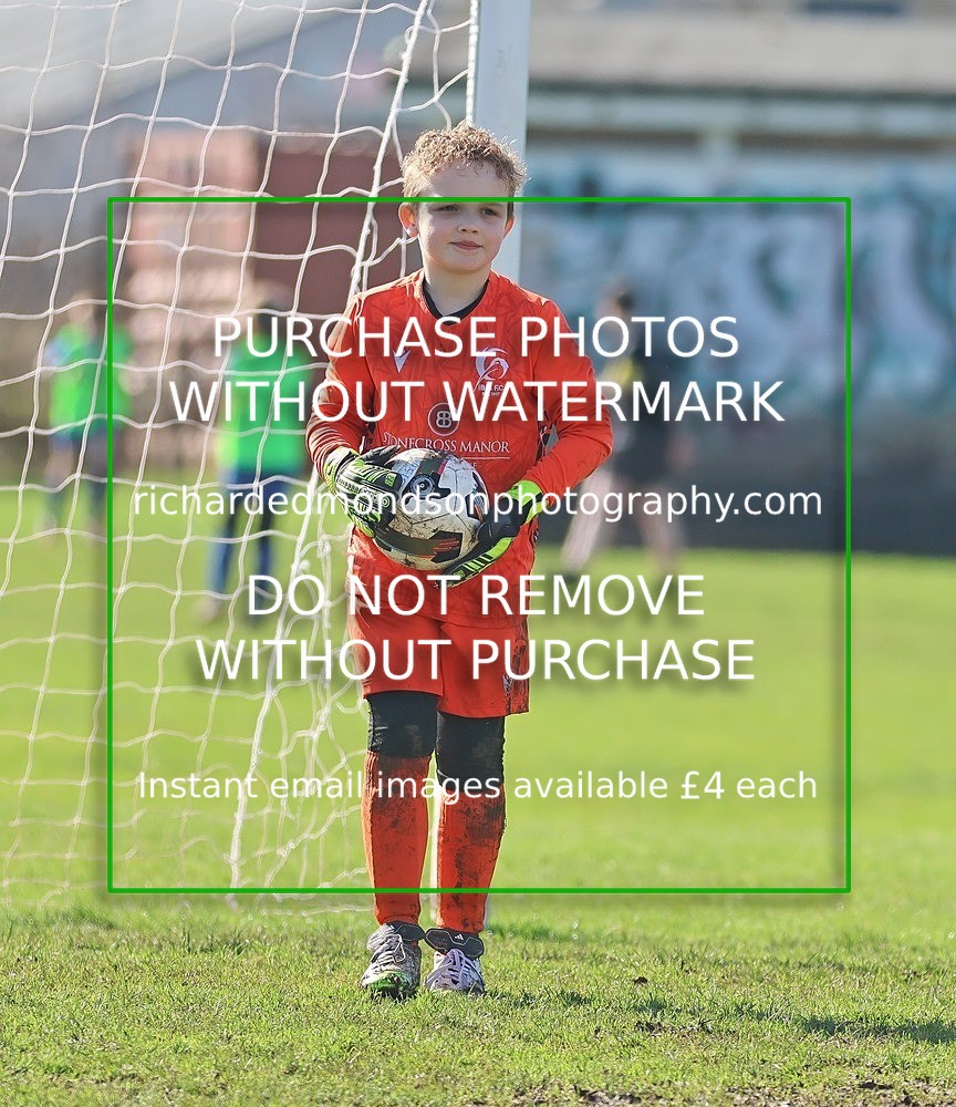 533A7787 - Ibis Under 8's (14/3/26)