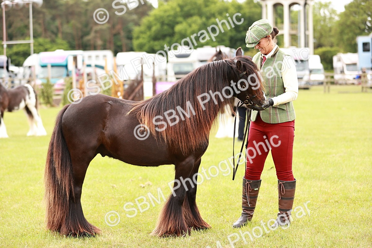 SBM_05988 - Class 39-41 TGCA In Hand and Ridden