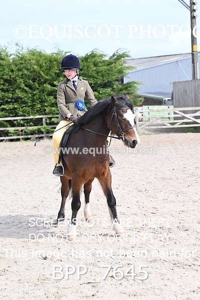 BPP_7645 - RING 1  (RIDDEN HORSES / IN HAND / VETERAN ETC)