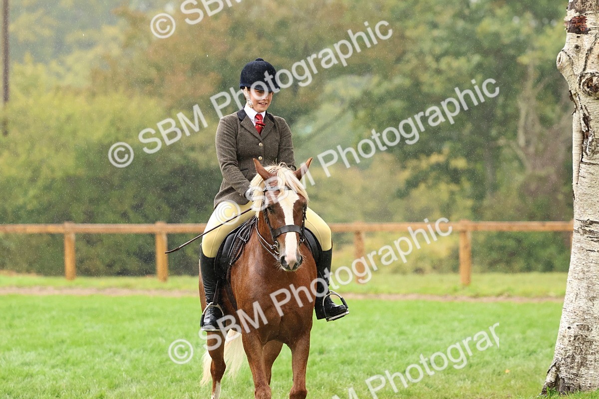 SBM_69724 - S62 - Mountain & Moorland Ridden Large Breeds