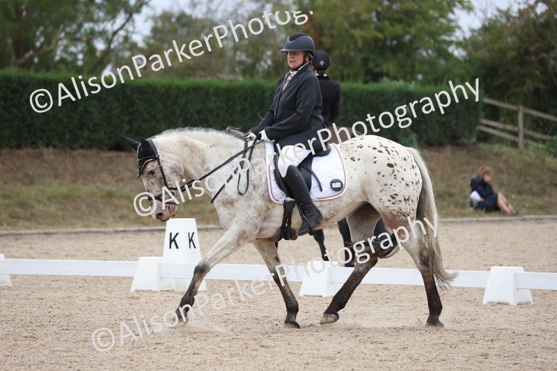 20250820-0280 - Class 9 - My Quest Prelim 3