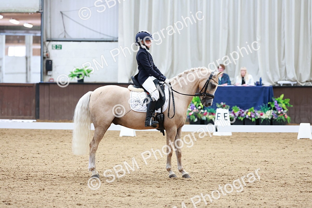 SBM_017379 - Class15 - FEI Pony