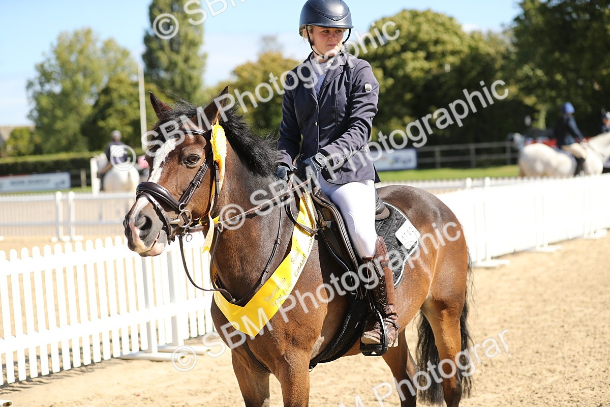 SBM_04788 - J28 - Senior Horse & Pony 60cm Championships