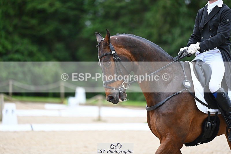 240524-175847-11533 - 162-HAZZLE_DAZZLE-Henry_Hobby