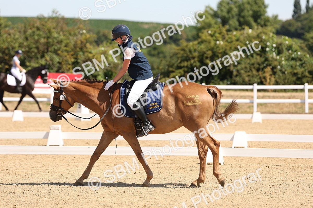SBM_001241 - Intro 2