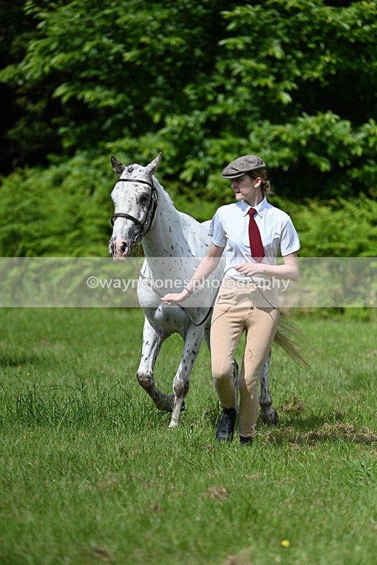 WJ7_1299 - Class 11 Condition & Turnout