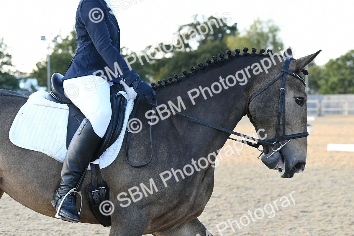 SBM_31025 - D16 - Small Tour Championship - Novice 28
