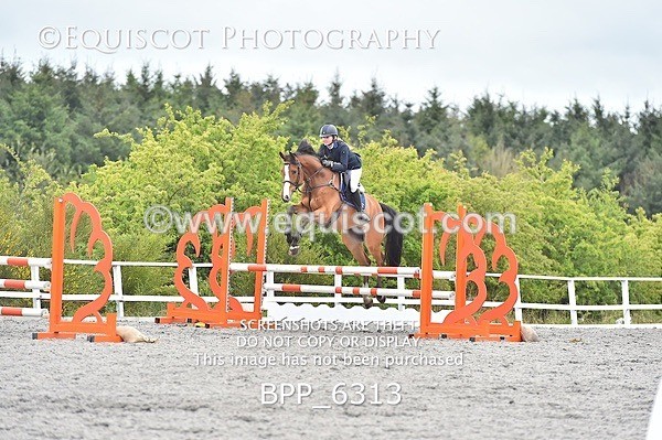 BPP_6313 - SUN CLASS 37 BR NOVICE/90CM