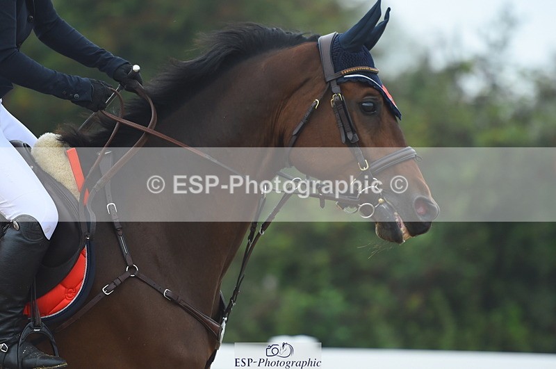 230916A-115044-03732 - Cls 22 95cm Amateur Qualifier