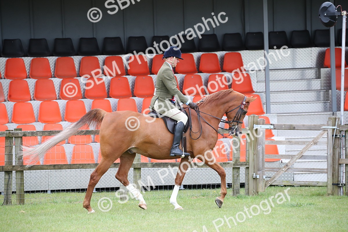 SBM_03663 - Class 21 - 22 - Ridden Arab and Part Bred/Anglo Arab