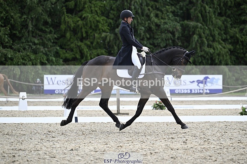 000101-190720-03861 - 426-VISCOUNT_VIKTOR-Tim_Price