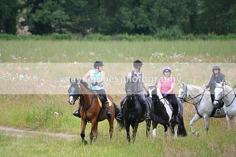 WJ6_8340 - Camera 1 Gallops