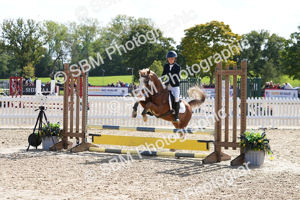 SBM_46531 - J7 - Junior Pony 60cm Championship