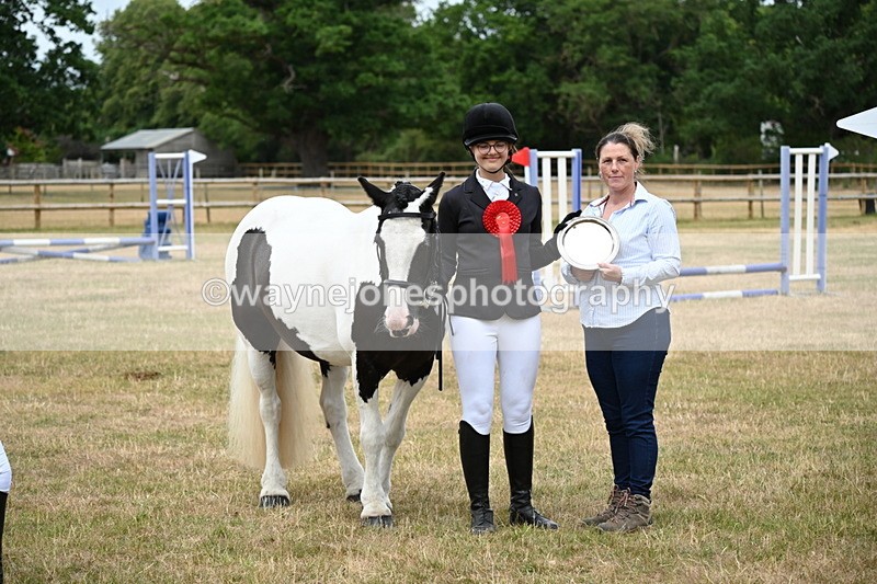 WJ6_4447 - Class 10 Coloured In-hand