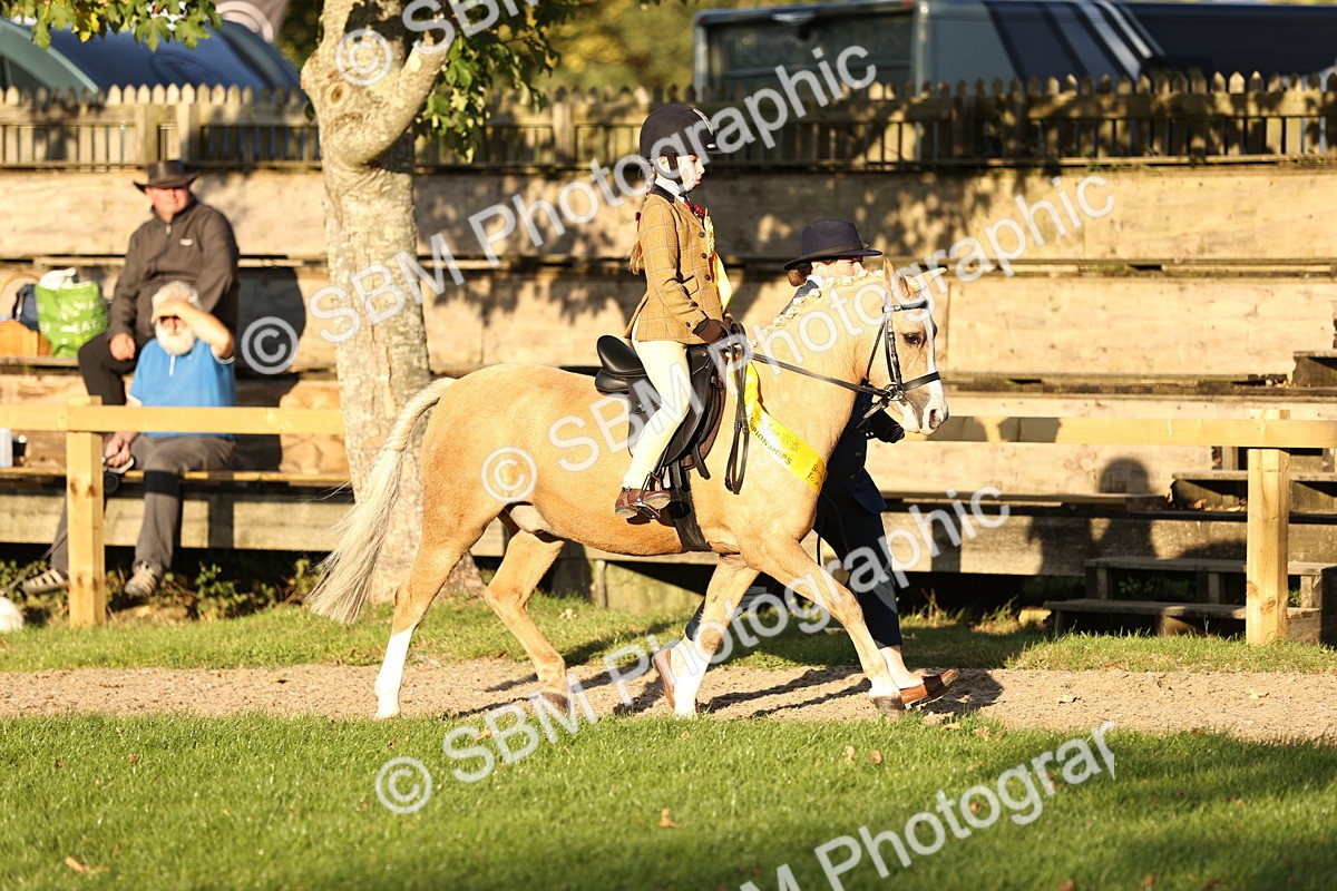 SBM_30124 - Novice & Newcomers Supreme Championship