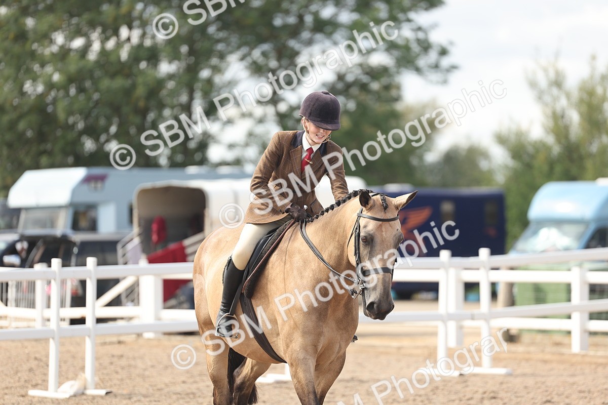 SBM_14827 - Class 308 - Ridden Coloured Horse