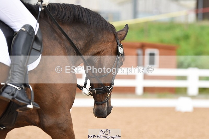 230912A-114312-00592 - Cls 7 Elementary 40